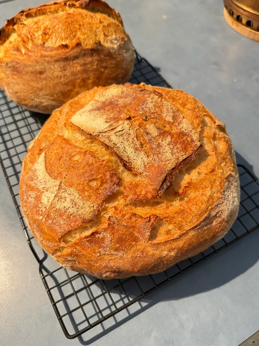 Two freshly baked golden loaves with different scoring patterns on a cooling rack.
