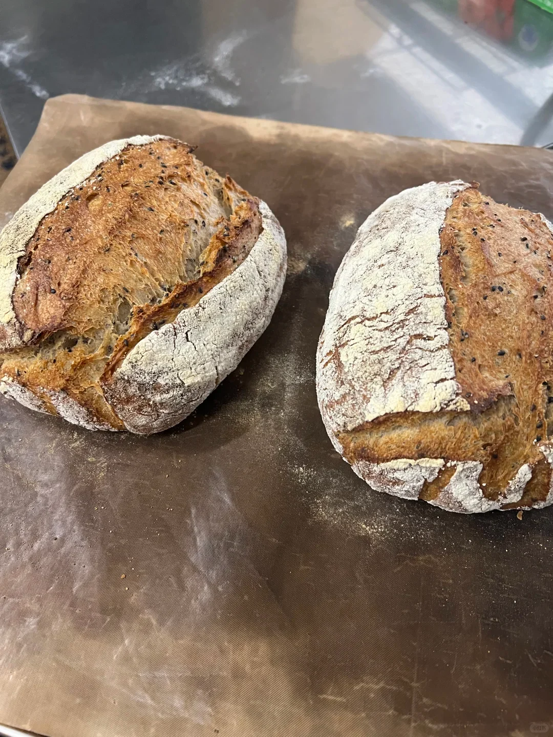 Two golden, flour-dusted loaves resting on a baking liner.