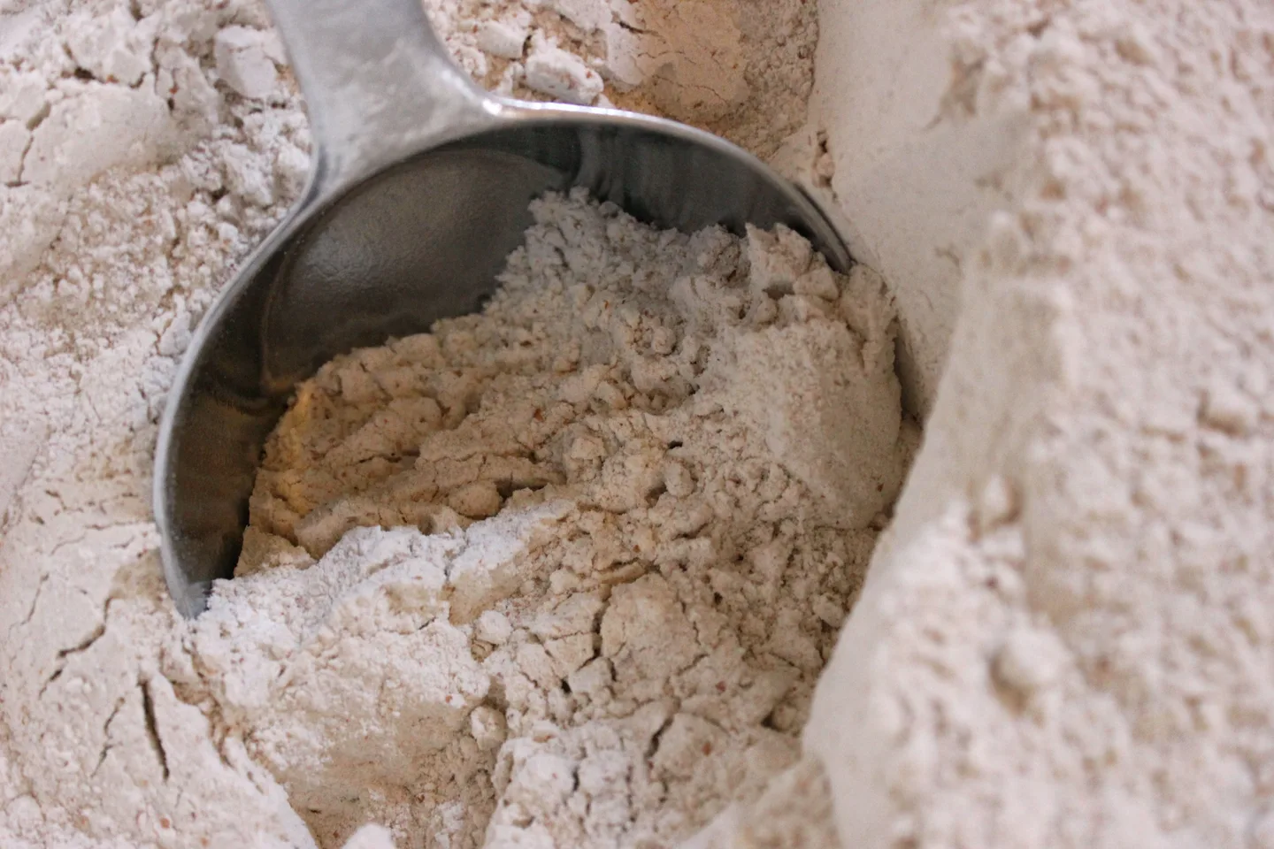 A metal scoop in whole wheat flour with small darker flecks of bran
